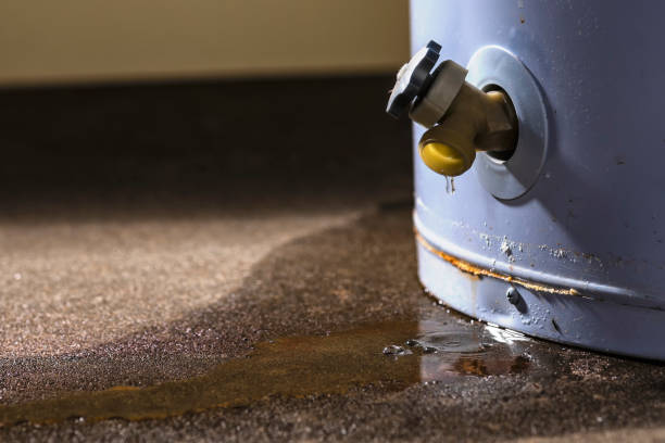 Thoreau, NM Water damage restoration Company