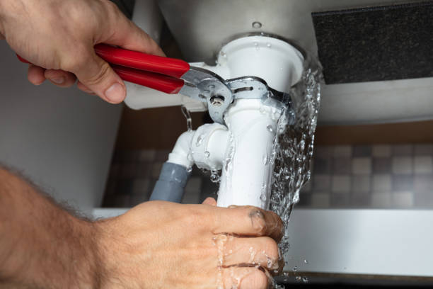 Best Ceiling water damage repair  in Thoreau, NM