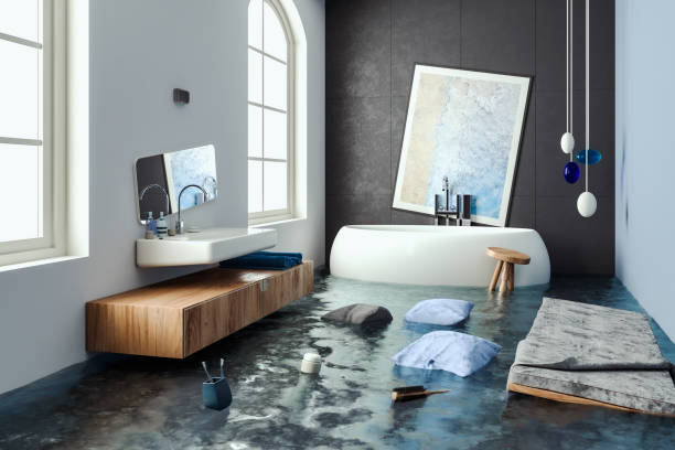 Best Water damage cleanup near me  in Thoreau, NM