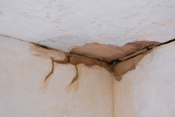 Best 24/7 water damage repair  in Thoreau, NM