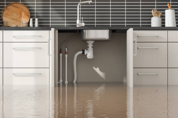 Best Flood damage cleanup  in Thoreau, NM