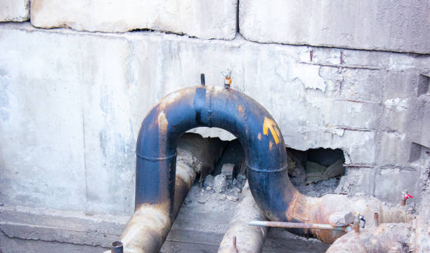 Best Ceiling water damage repair  in Thoreau, NM